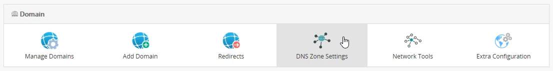 DNS zone Settings